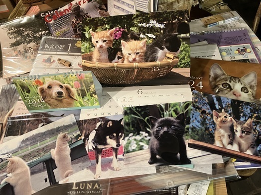 犬猫IMG_2342.jpg