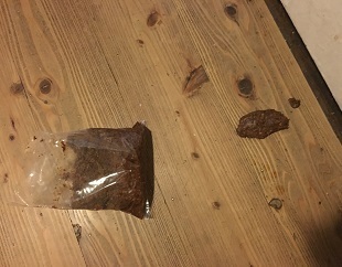 miso.jpg