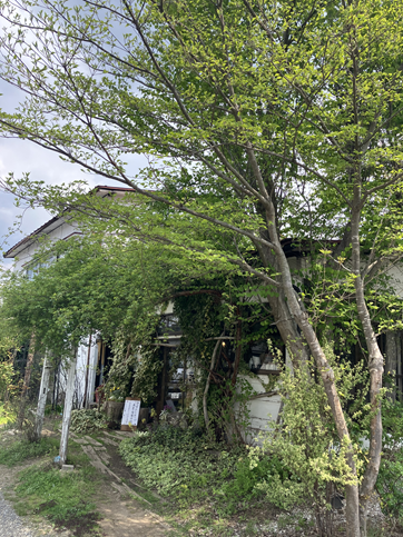 IMG_6006.png