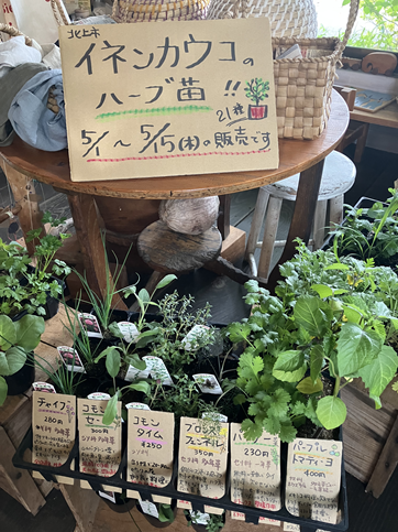 IMG_6086.png
